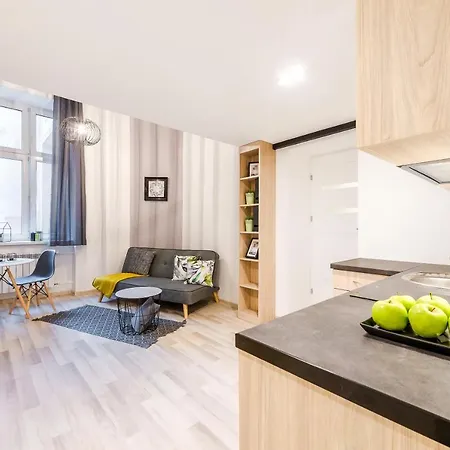 Narutowicza 49 Apartman